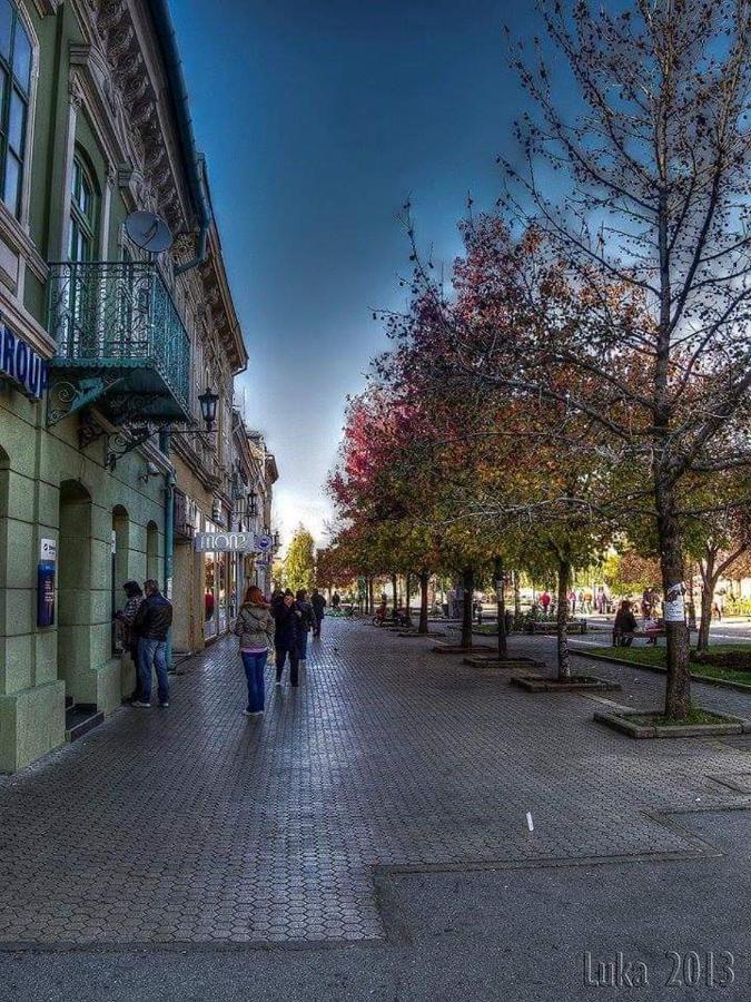 Apartamento Hulk Vrsac Exterior foto